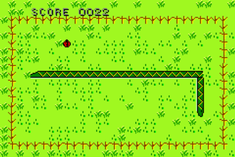 Il gioco in esecuzione, con un serpente molto lungo