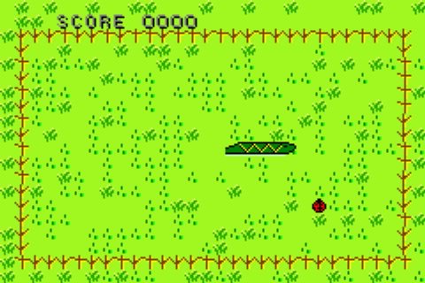 Il gioco in esecuzione