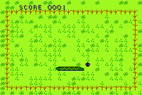 Ancora il gioco in esecuzione